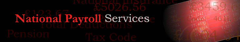 National Payroll Services